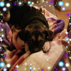 Meet your Posher, Amber